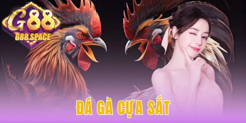 đá gà cựa sắt
