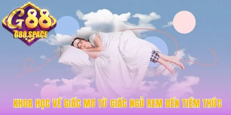 Khoa học giấc mơ phản ánh hoạt động não bộ khi ngủ REM