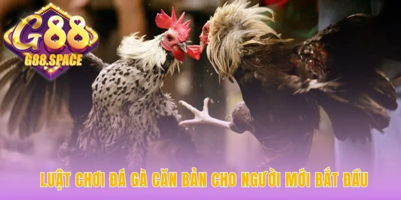 Quy tắc nền tảng quyết định thắng thua của mỗi chiến kê