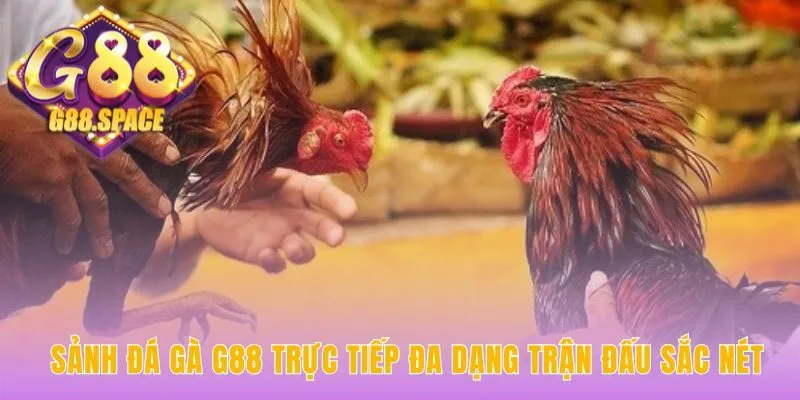Trải nghiệm sảnh đá gà G88 qua livestream sắc nét không giật lag