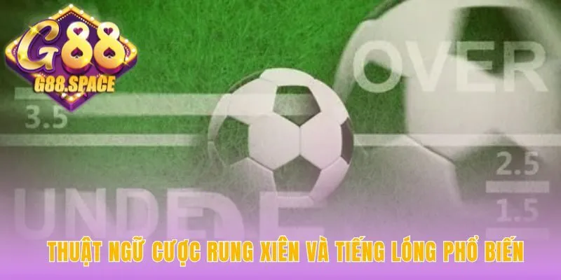 Giải thích thuật ngữ cá độ bóng đá như Cược Rung và "Nổ"